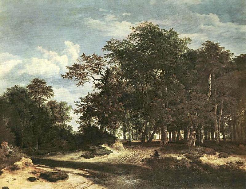 Jacob van Ruisdael The Large Forest Germany oil painting art